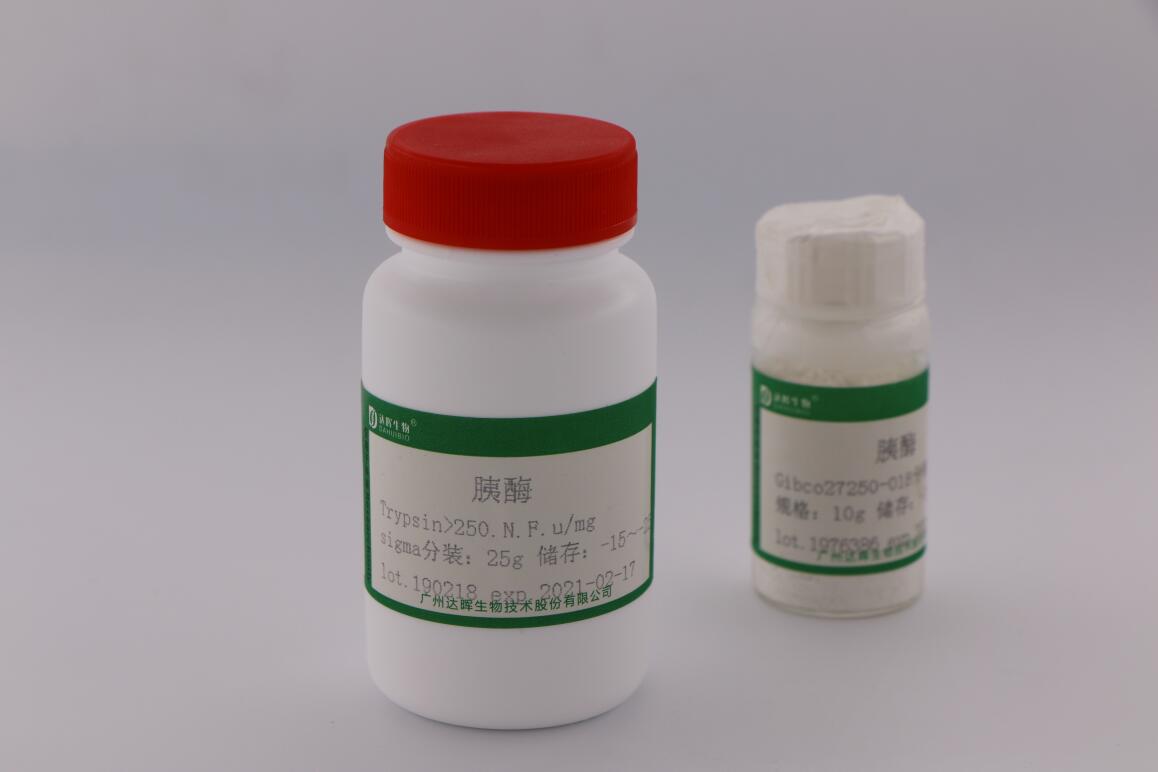 胰酶粉末
